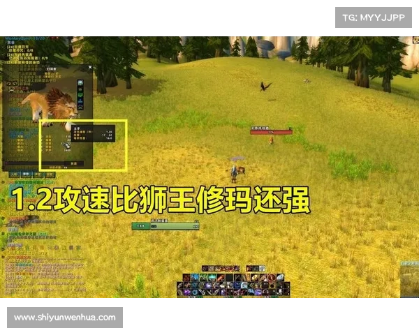 魔兽世界怀旧服宠物等级突破极限，攀登巅峰